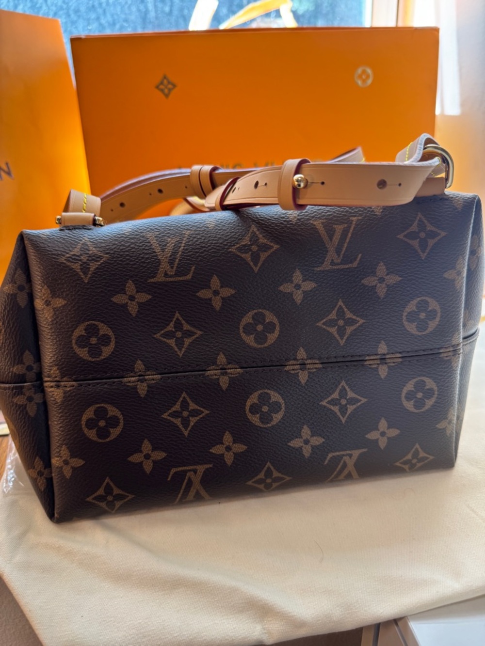 Louis Vuitton Montsouris Backpack - 2022 NEVER! WORN! Grad gift, not my style - Picture 12 of 16